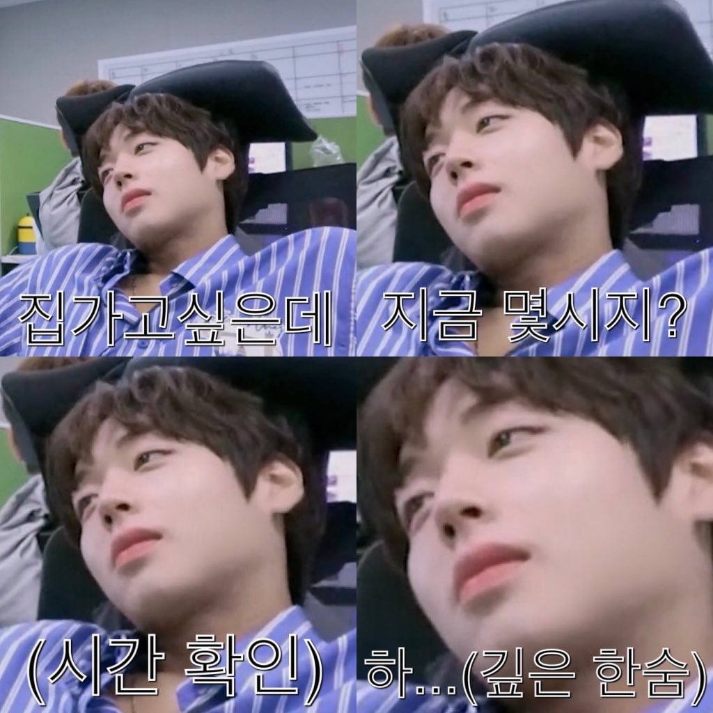 [잡담] 그냥 여기저기서 주운 박지훈 사진 올려봄(얼빡샷 위주) | 인스티즈