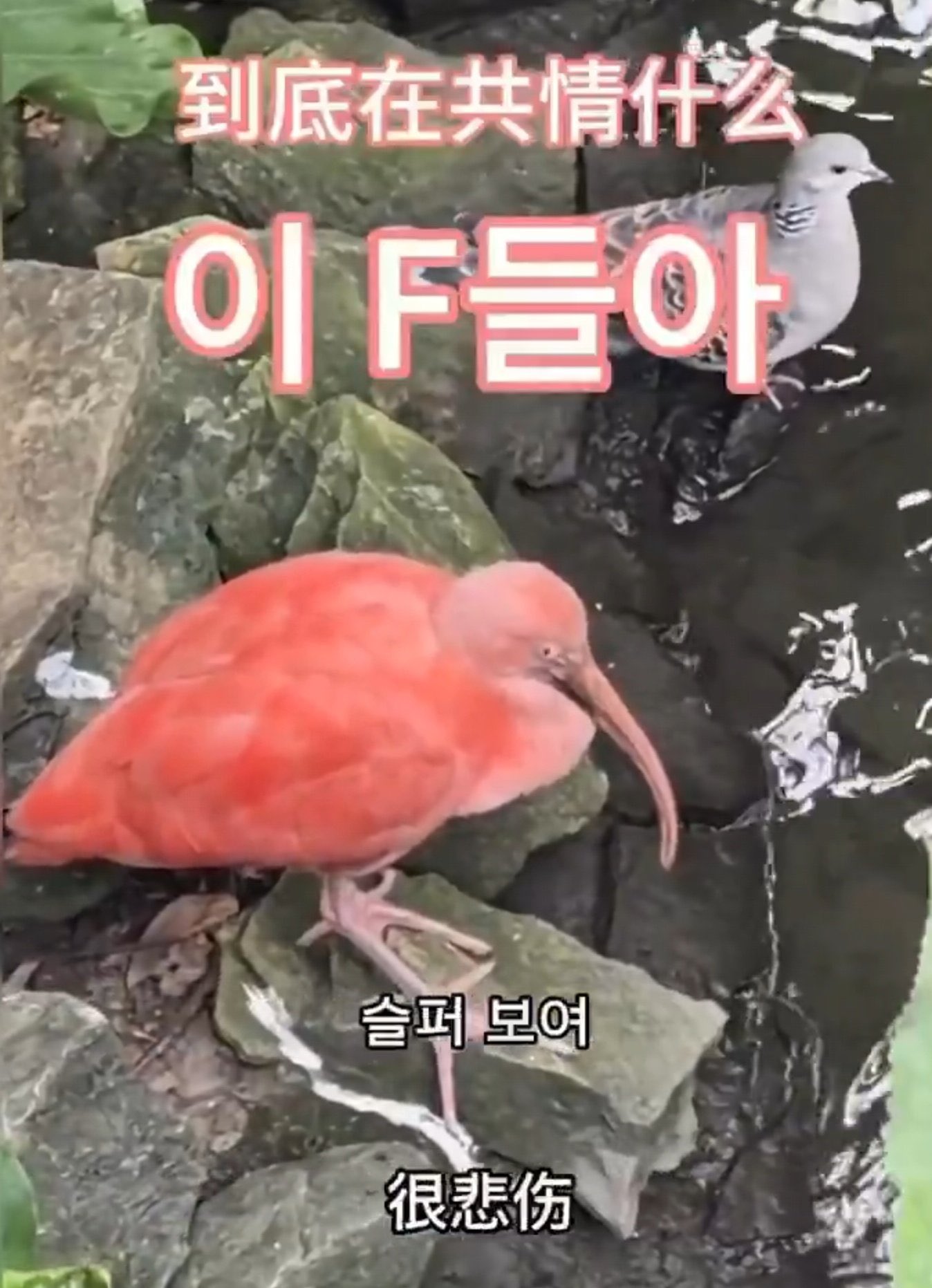 [잡담] 제베원 팬인데 안자는중 | 인스티즈