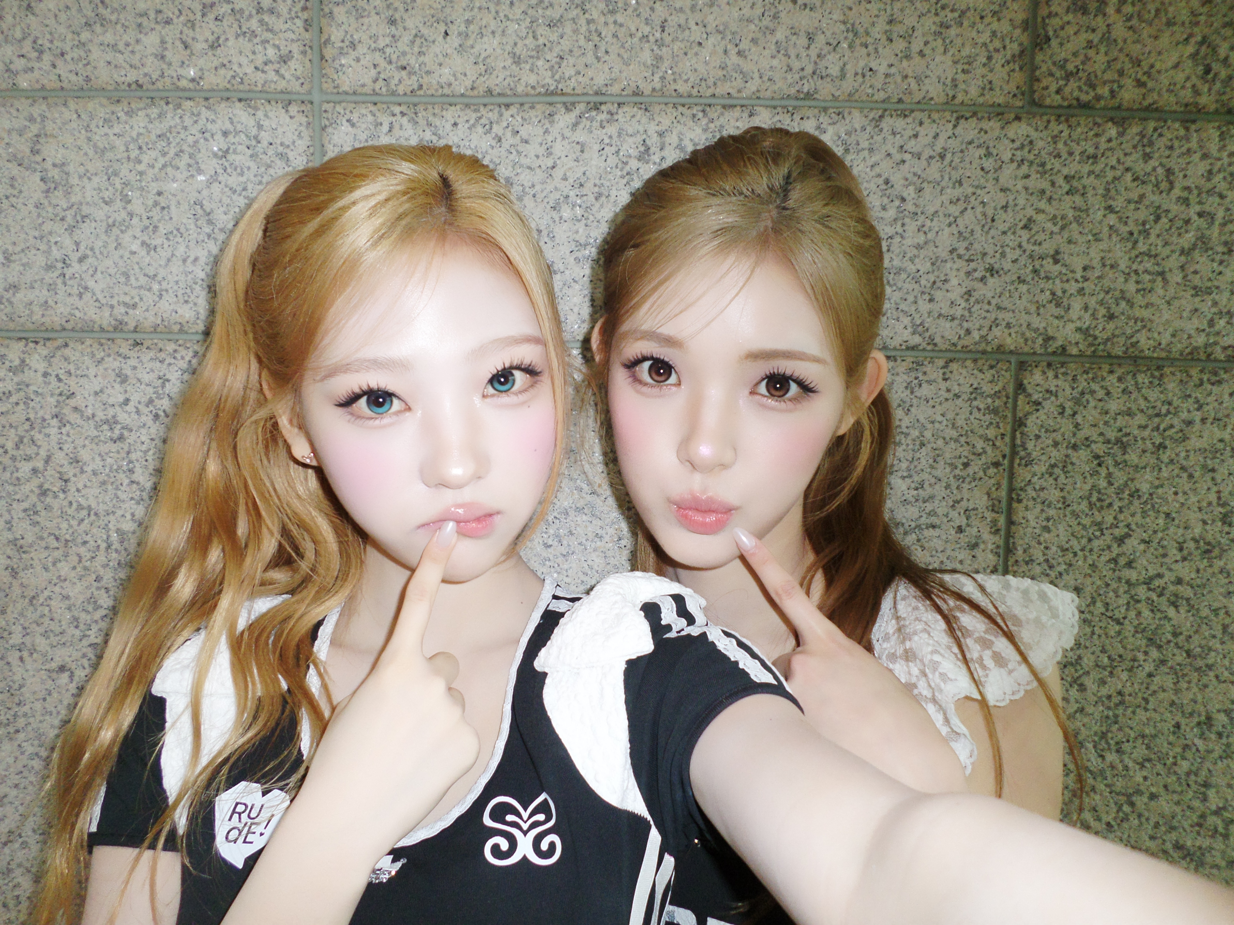 [잡담] 요즘 스텔라가 좋음 | 인스티즈