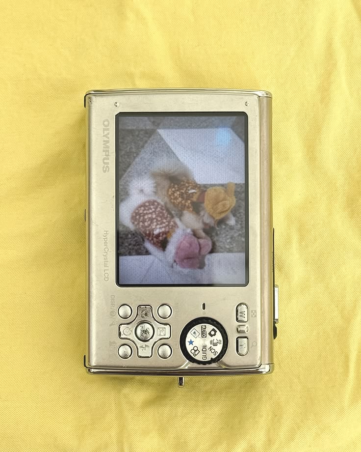 [정보/소식] 올해 데뷔 예정인 더라이브레이블 (성한/빈 소속사) 신인 걸그룹 첫 번째 공개 멤버 | 인스티즈