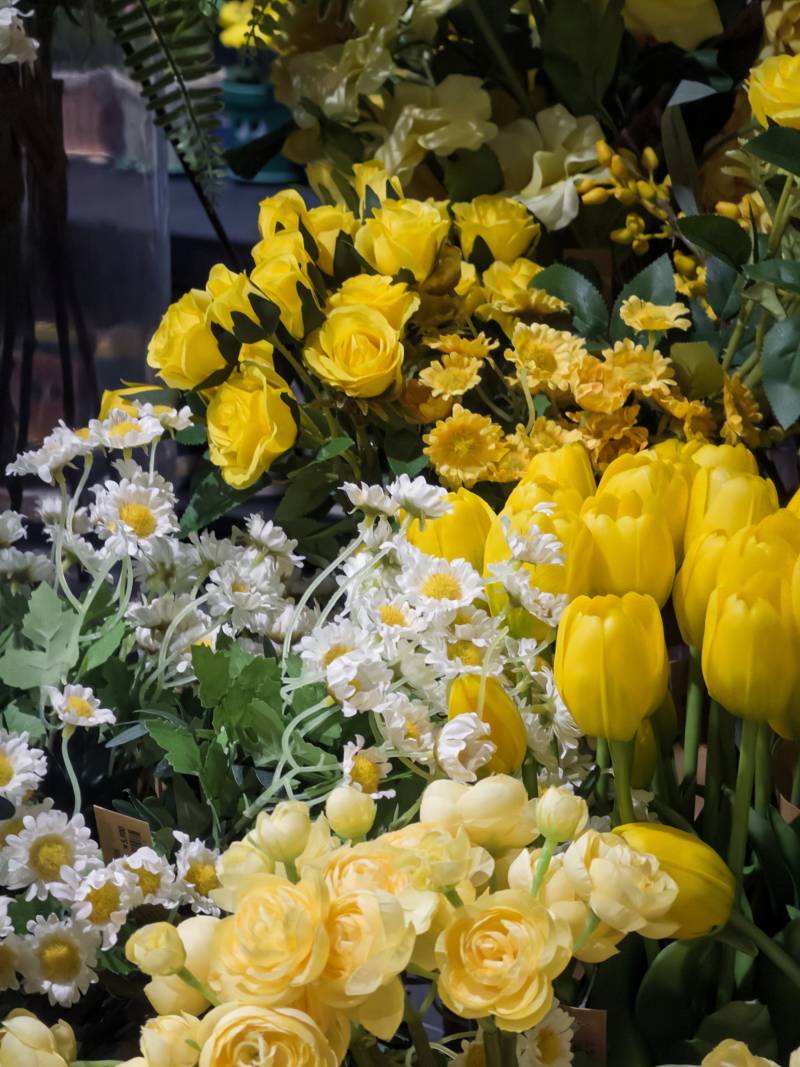 아이폰을 디지털 카메라로 바꿔주는 앱 | 인스티즈