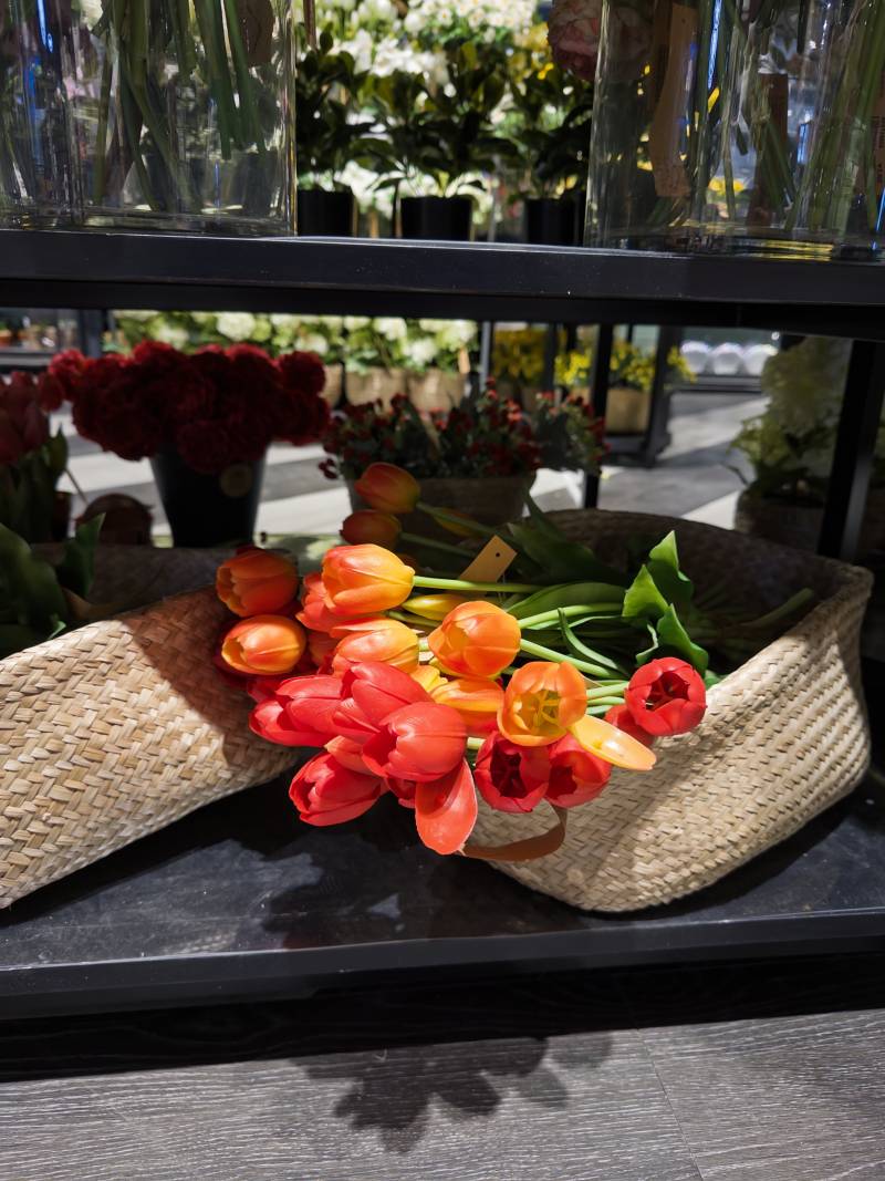 아이폰을 디지털 카메라로 바꿔주는 앱 | 인스티즈