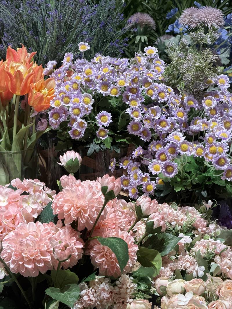 아이폰을 디지털 카메라로 바꿔주는 앱 | 인스티즈