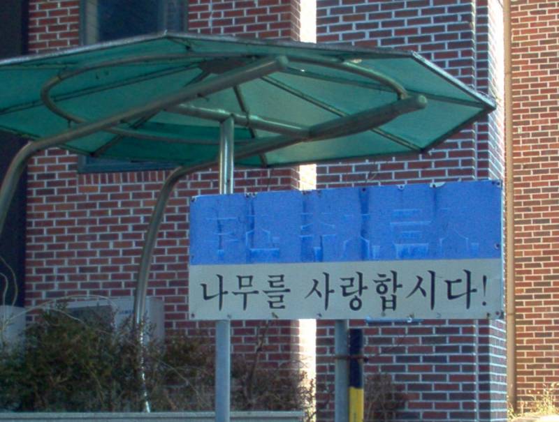 [잡담] 요즘 디카 가지구 집 근처 걸어다니고 그랬는데 좋당 | 인스티즈