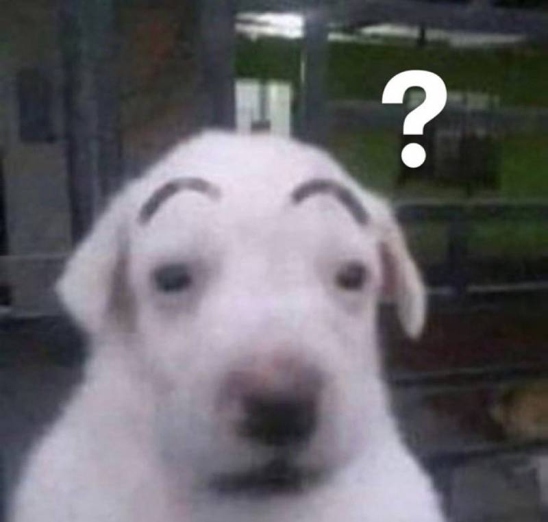 [잡담] 국대랑 시경 다 본 파니 있어? | 인스티즈