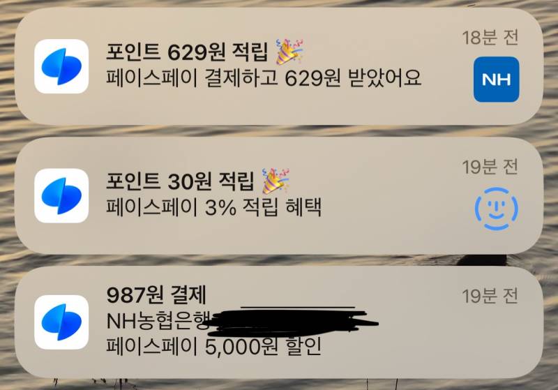 [잡담] 토스 페이스페이 300원의 여유~🌷 | 인스티즈