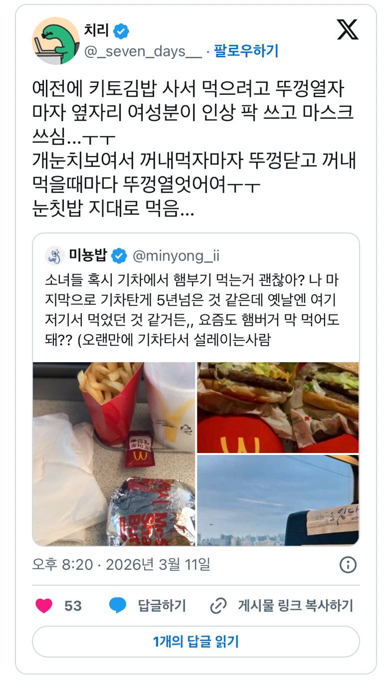 현재 𝙅𝙊𝙉𝙉𝘼 맞고있는 기차 햄버거 민폐 논란..JPG | 인스티즈