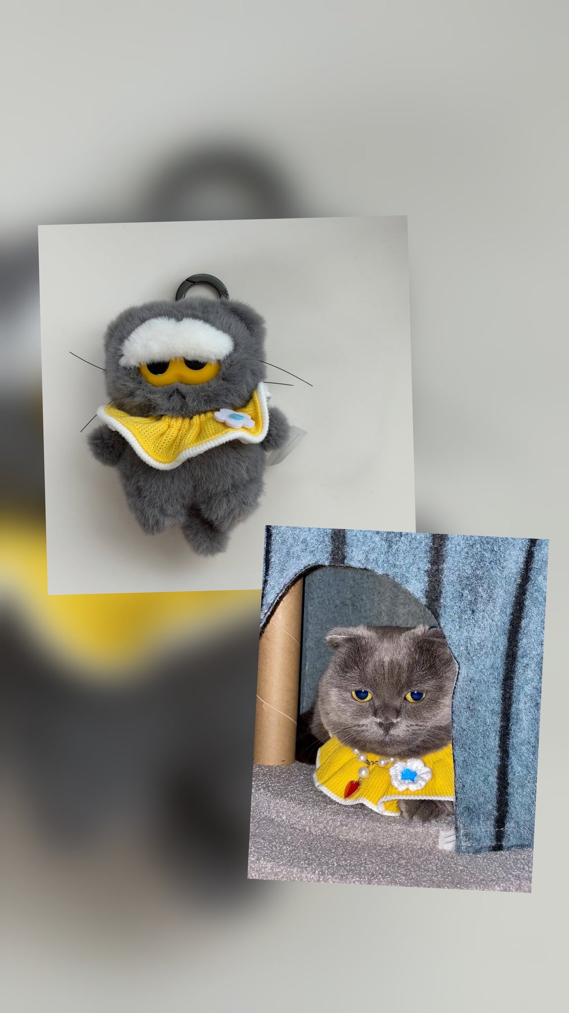 [잡담] 앜ㅋㅋ 지디 인형 개귀여워 | 인스티즈