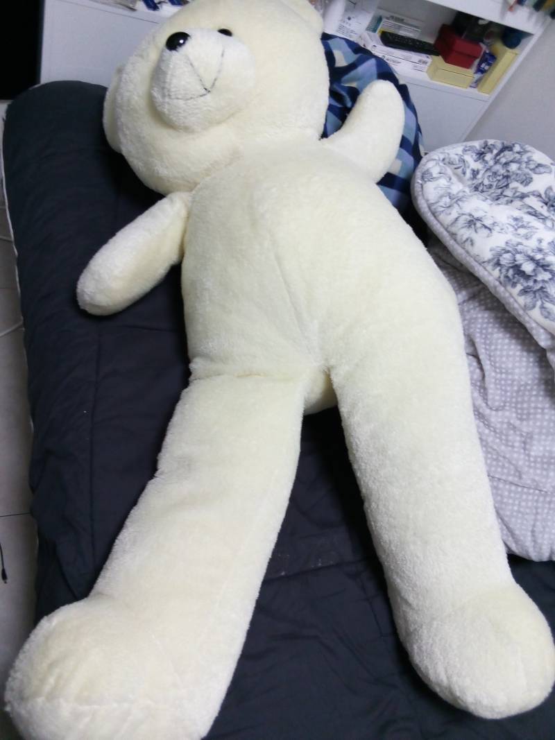 [잡담] 곰인형 나눔받아왔는데 다리봐 | 인스티즈