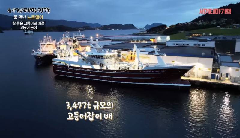 [잡담] 노르웨이 고등어잡이배 좀 봐ㅋㅋㅋㅋㅋㅋㅋㅋㅋㅋㅋㅋㅋ | 인스티즈