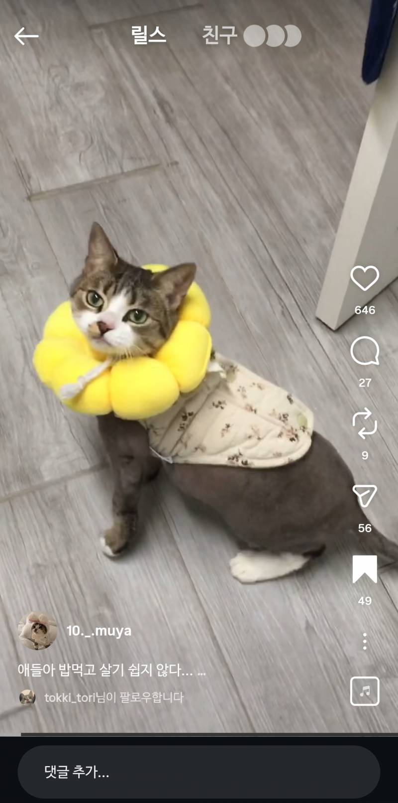 [잡담] 얘도 춘봉이처럼 떠야한다 | 인스티즈