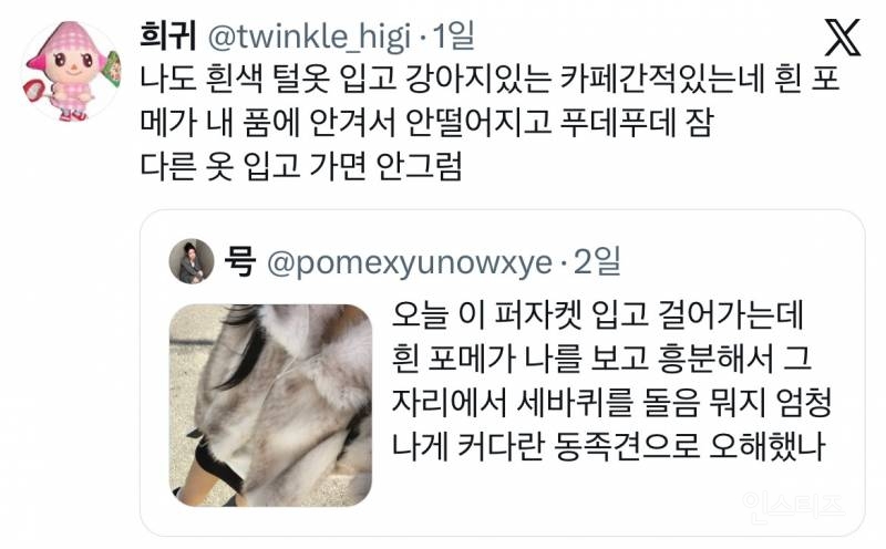 오늘 이 퍼자켓 입고 걸어가는데 흰 포메가 나를 보고 흥분해서 | 인스티즈