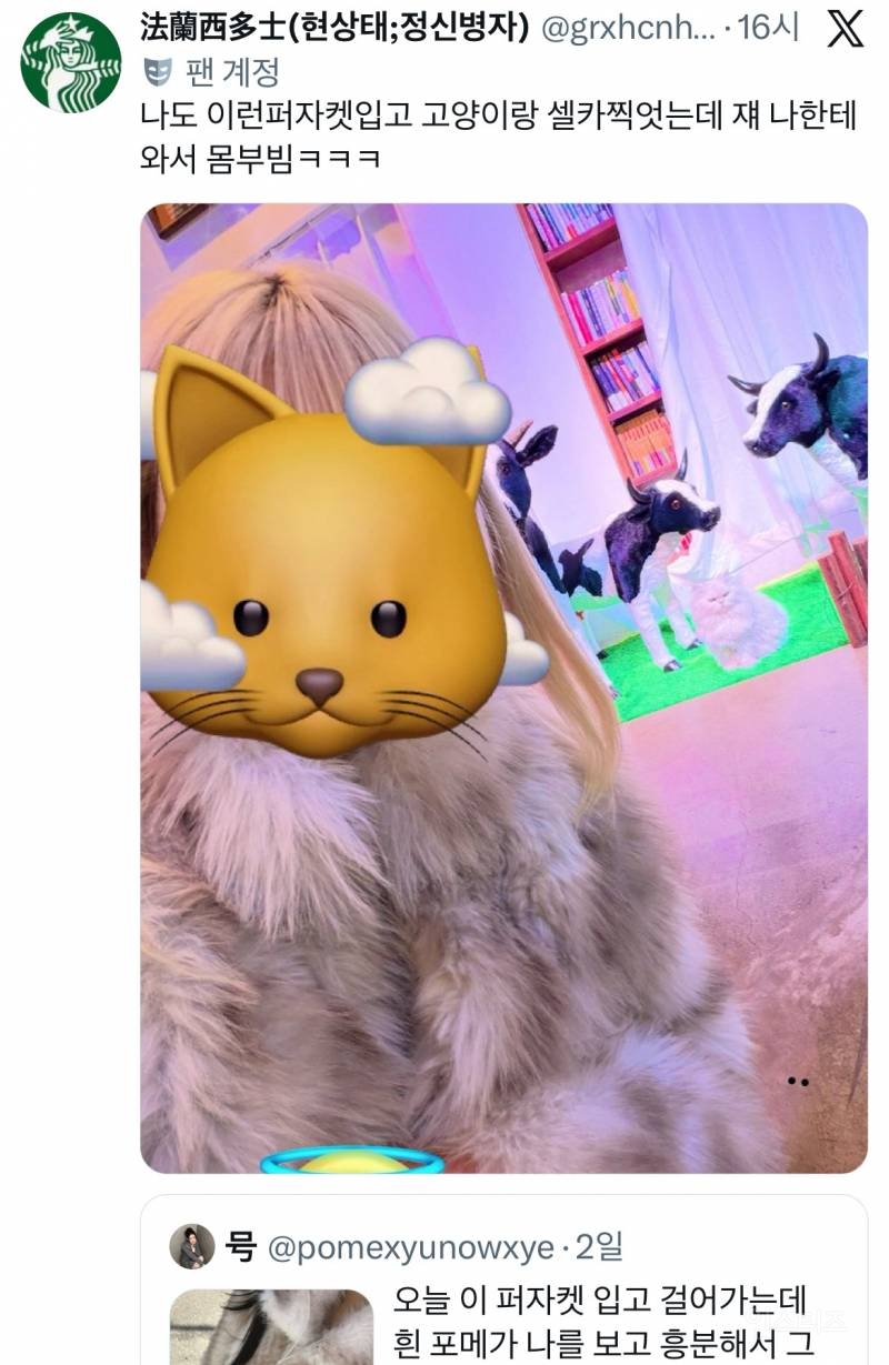 오늘 이 퍼자켓 입고 걸어가는데 흰 포메가 나를 보고 흥분해서 | 인스티즈