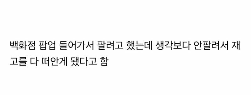 랄랄이 6년동안 번돈 다 날렸다는 팝업 굿즈 상태..JPG | 인스티즈