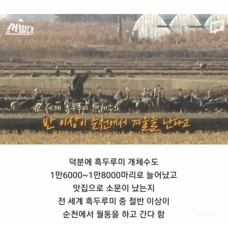 순천에서 전봇대 수백개를 다 뽑아버린 이유.jpg | 인스티즈