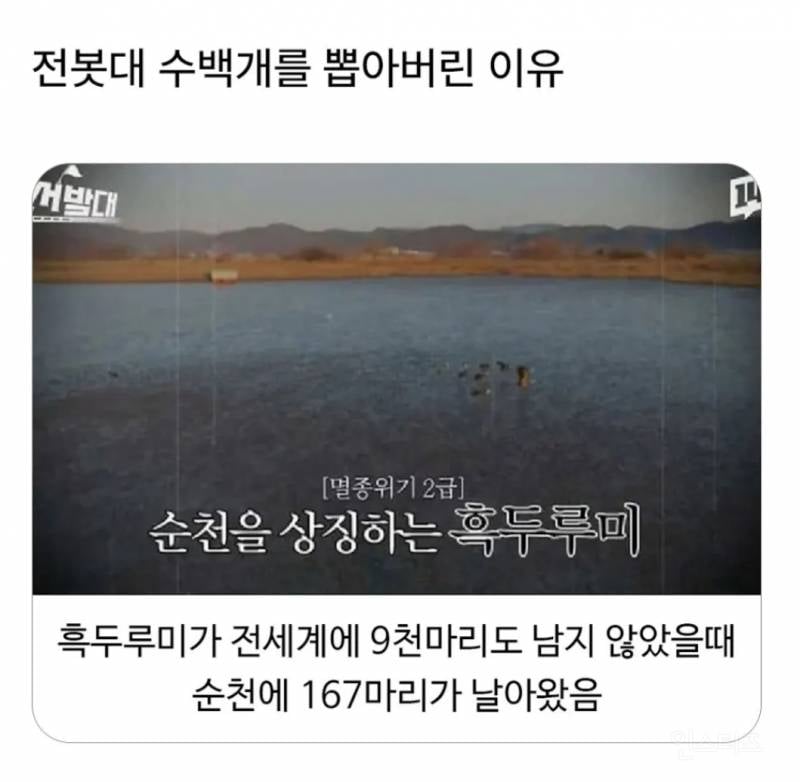 순천에서 전봇대 수백개를 다 뽑아버린 이유.jpg | 인스티즈