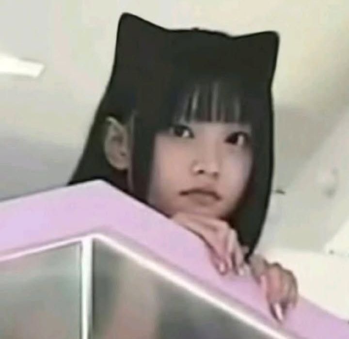 [잡담] 내 아기고양이 소개할께여 | 인스티즈