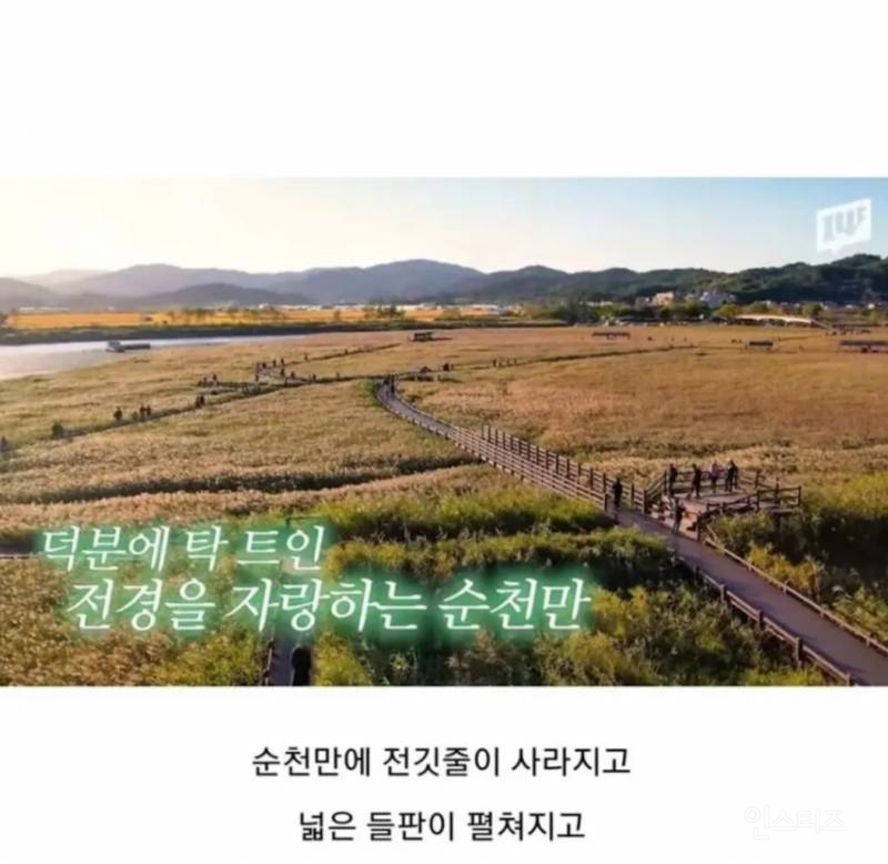 순천에서 전봇대 수백개를 다 뽑아버린 이유.jpg | 인스티즈