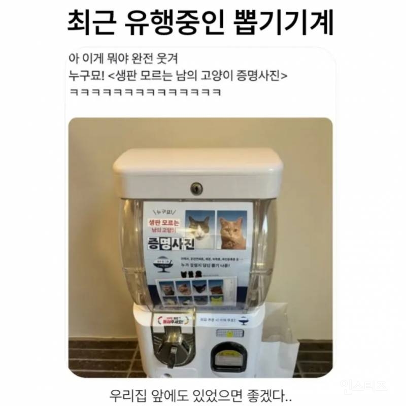 최근 유행중인 뽑기 기계 | 인스티즈