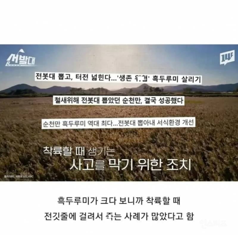 순천에서 전봇대 수백개를 다 뽑아버린 이유.jpg | 인스티즈