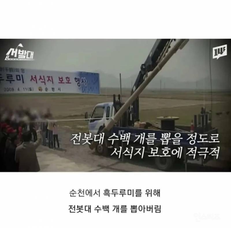 순천에서 전봇대 수백개를 다 뽑아버린 이유.jpg | 인스티즈