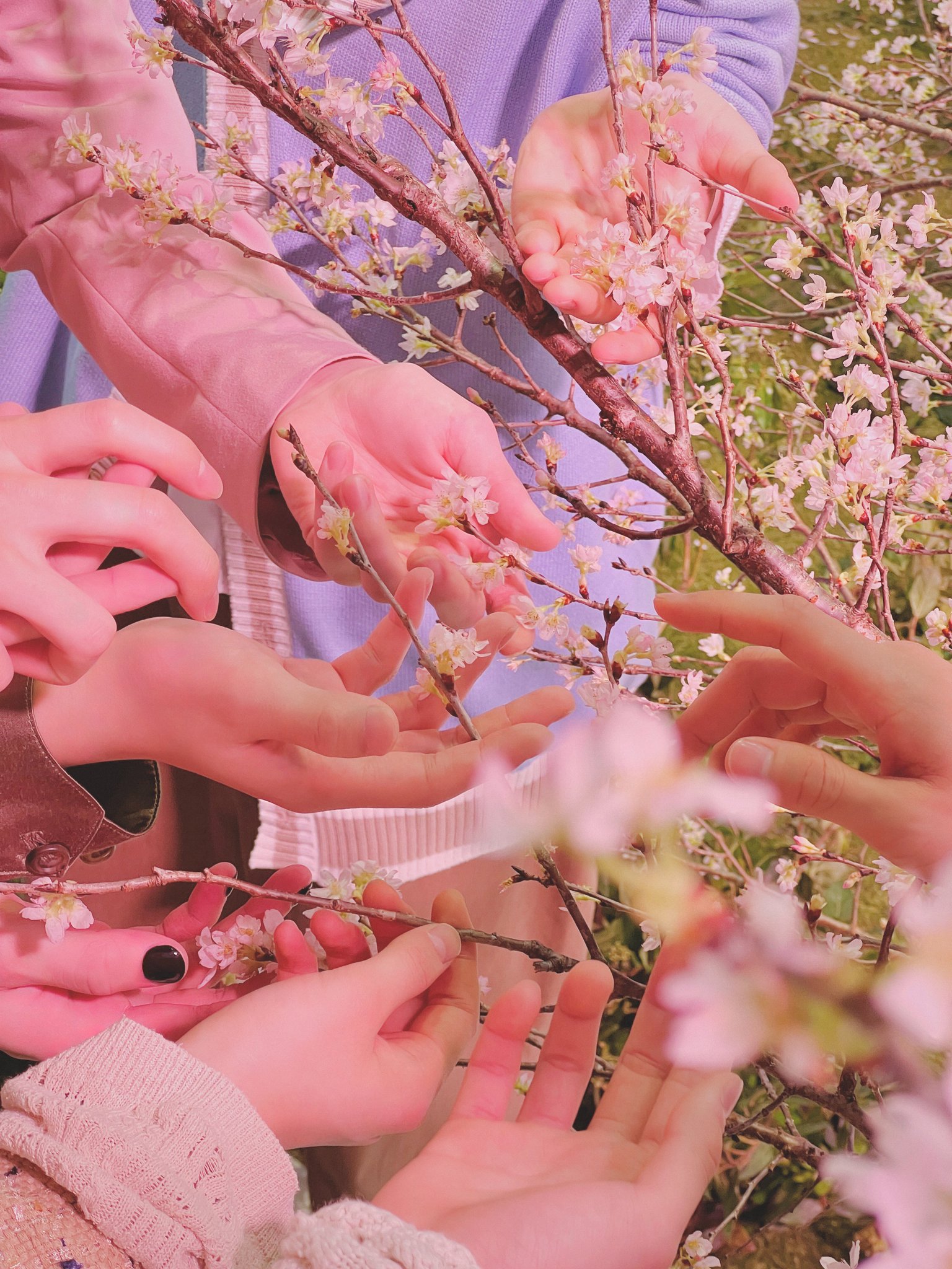 [잡담] 이거 몇년도에 찍은 사진 같아?? | 인스티즈