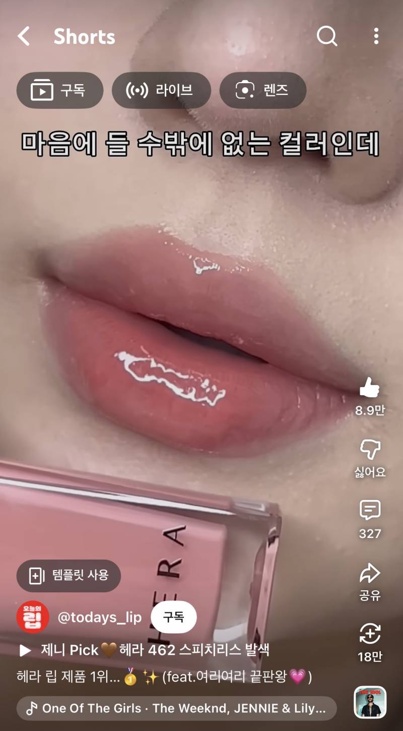 [잡담] 사진이랑 비슷한 립 아는 사람 ㅜㅜ | 인스티즈