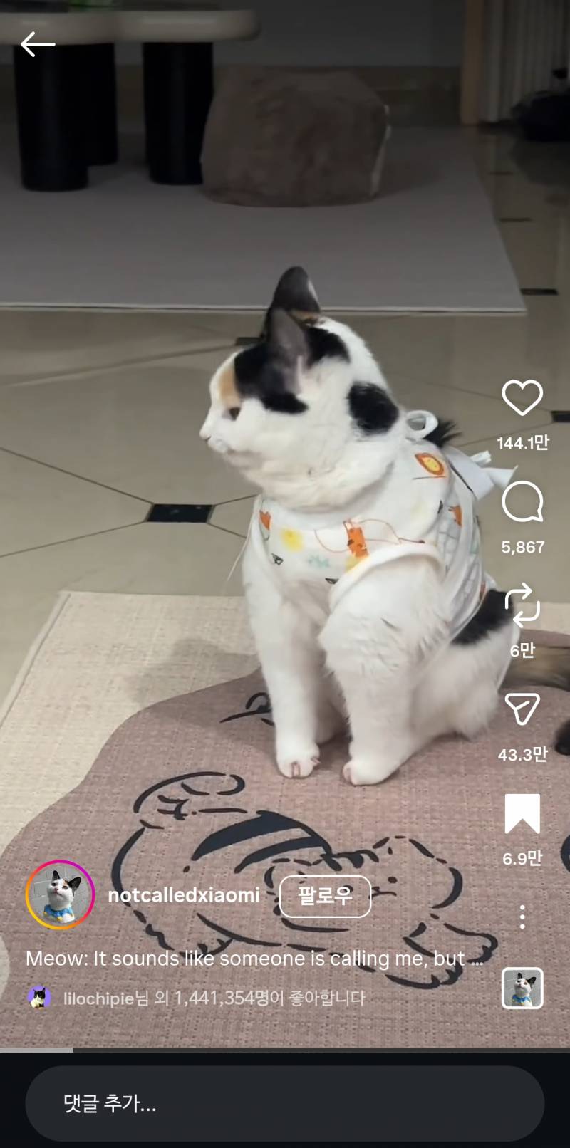 [잡담] 이고양이 ㄹㅇ 캐릭터같이생김 | 인스티즈