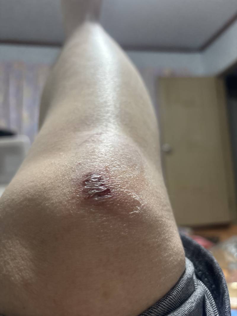 [잡담] ㅇ | 인스티즈