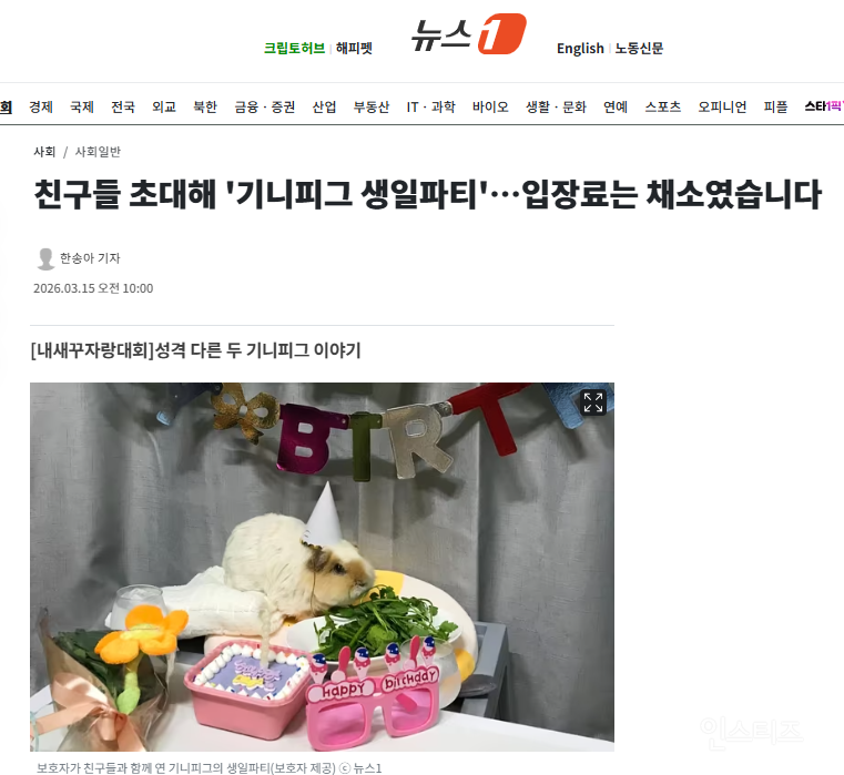 친구들 초대해 '기니피그 생일파티'…입장료는 채소였습니다 | 인스티즈