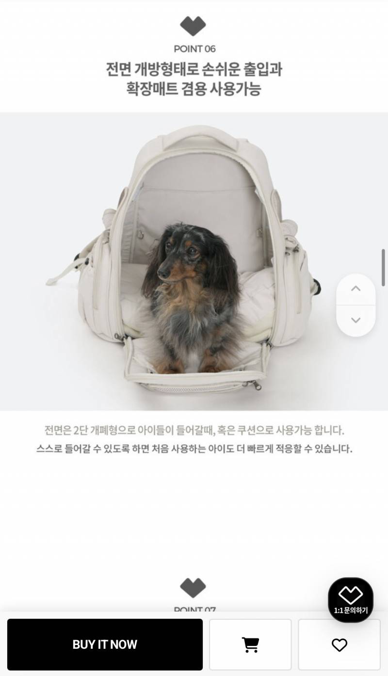 [잡담] 강아지 이동가방 같이 골라줘ㅠㅠㅠ | 인스티즈