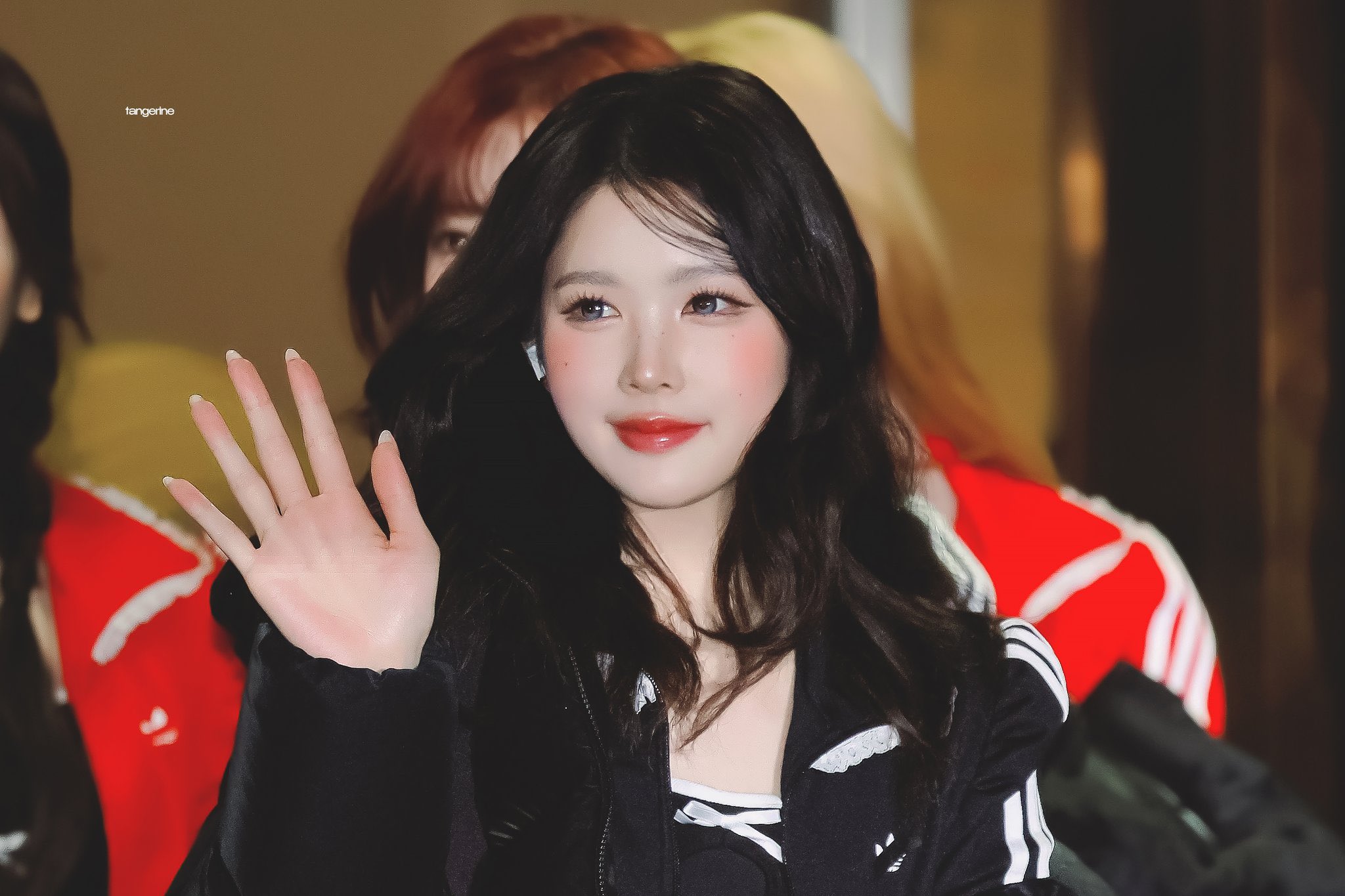 [잡담] 노숭이 추구미 고양이인거 왜케 웃기지 | 인스티즈