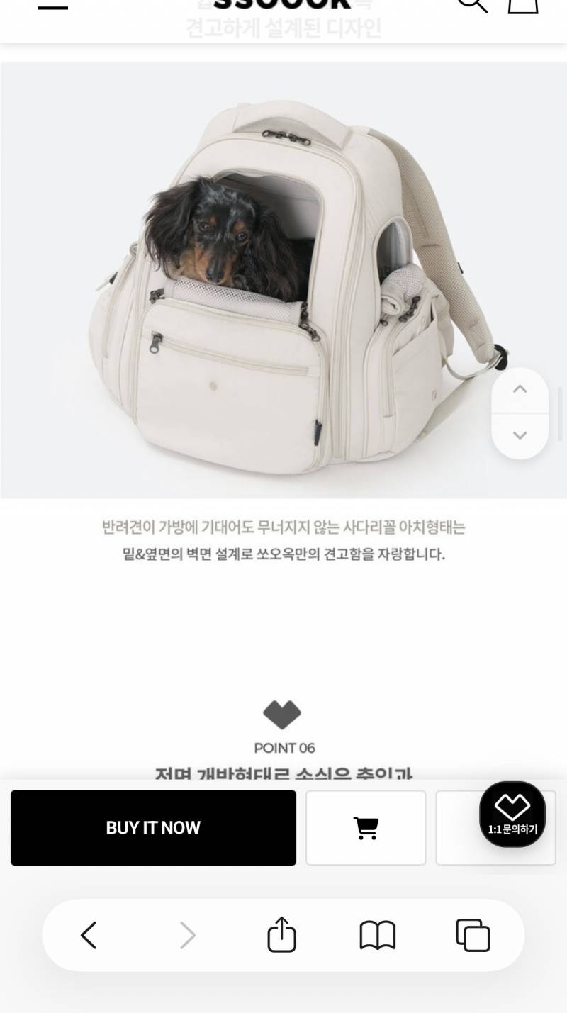 [잡담] 강아지 이동가방 같이 골라줘ㅠㅠㅠ | 인스티즈