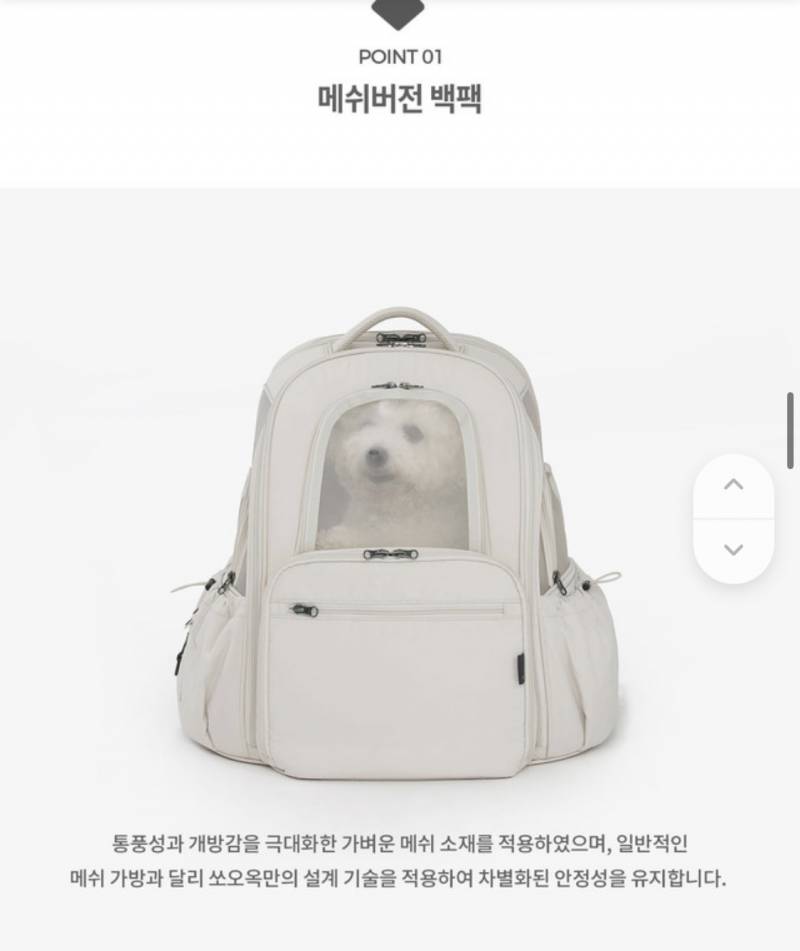 [잡담] 강아지 이동가방 같이 골라줘ㅠㅠㅠ | 인스티즈