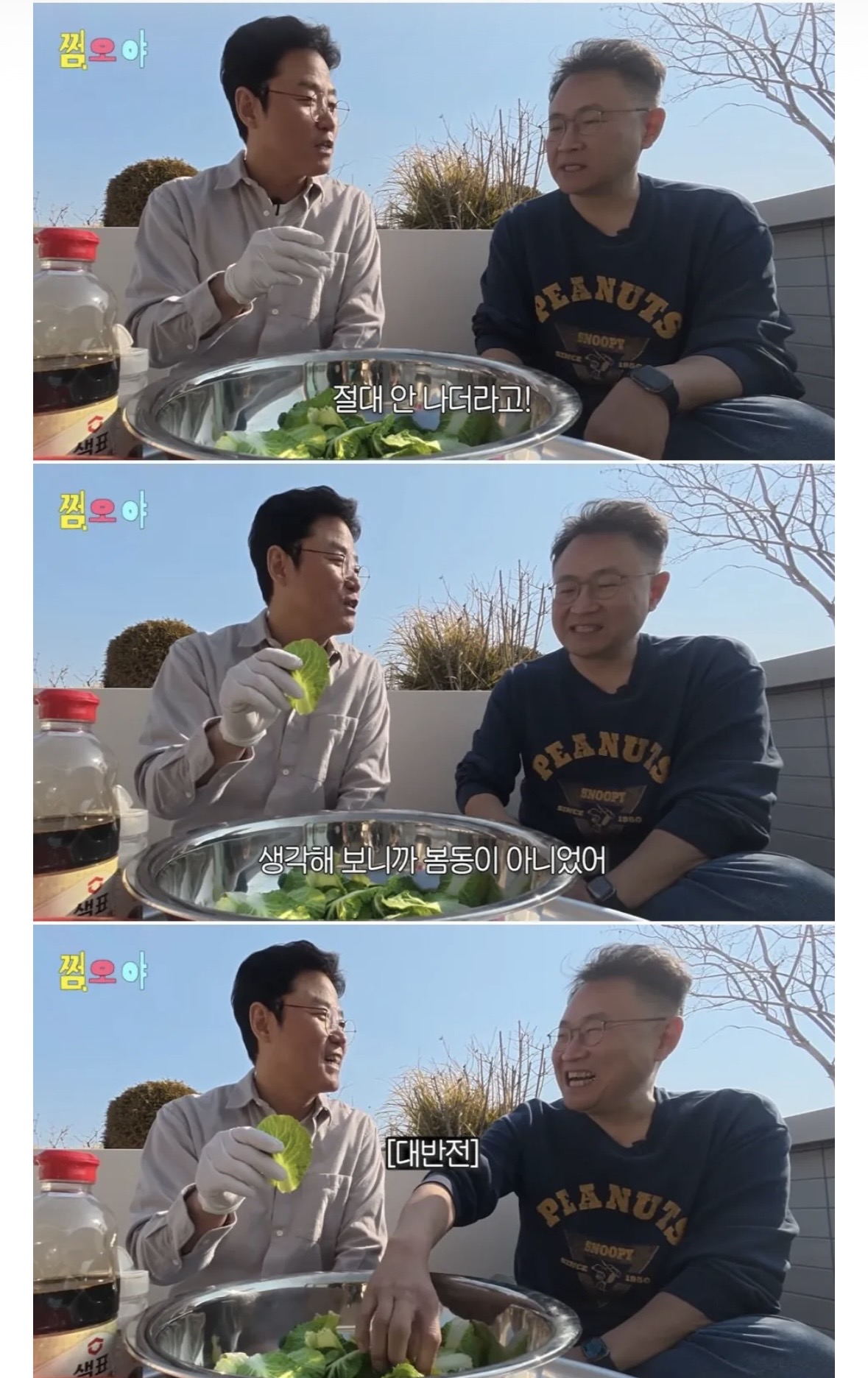 [잡담] 헐 강호동 봄동비빔밥의 진실 | 인스티즈