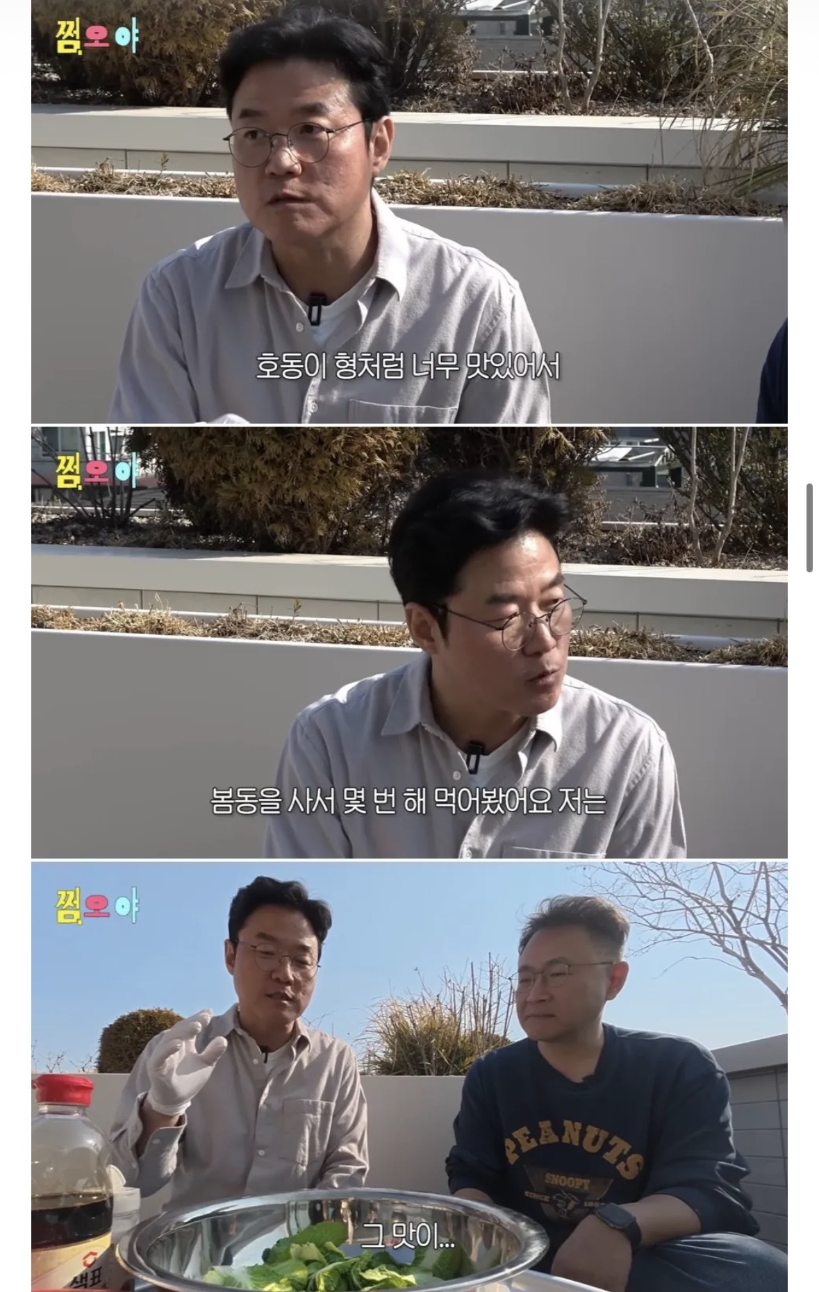 [잡담] 헐 강호동 봄동비빔밥의 진실 | 인스티즈