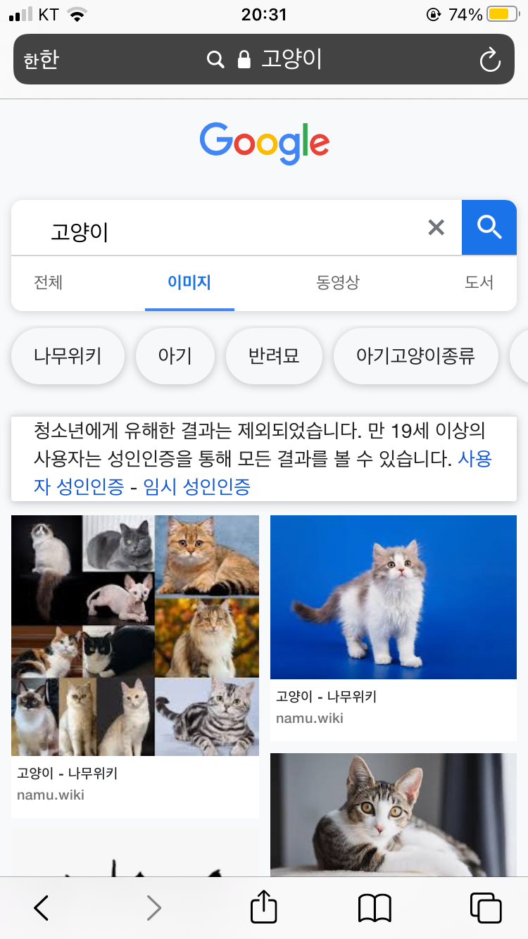 [잡담] 고양이 검색하는데 왜 성인인증 해야 하지? | 인스티즈