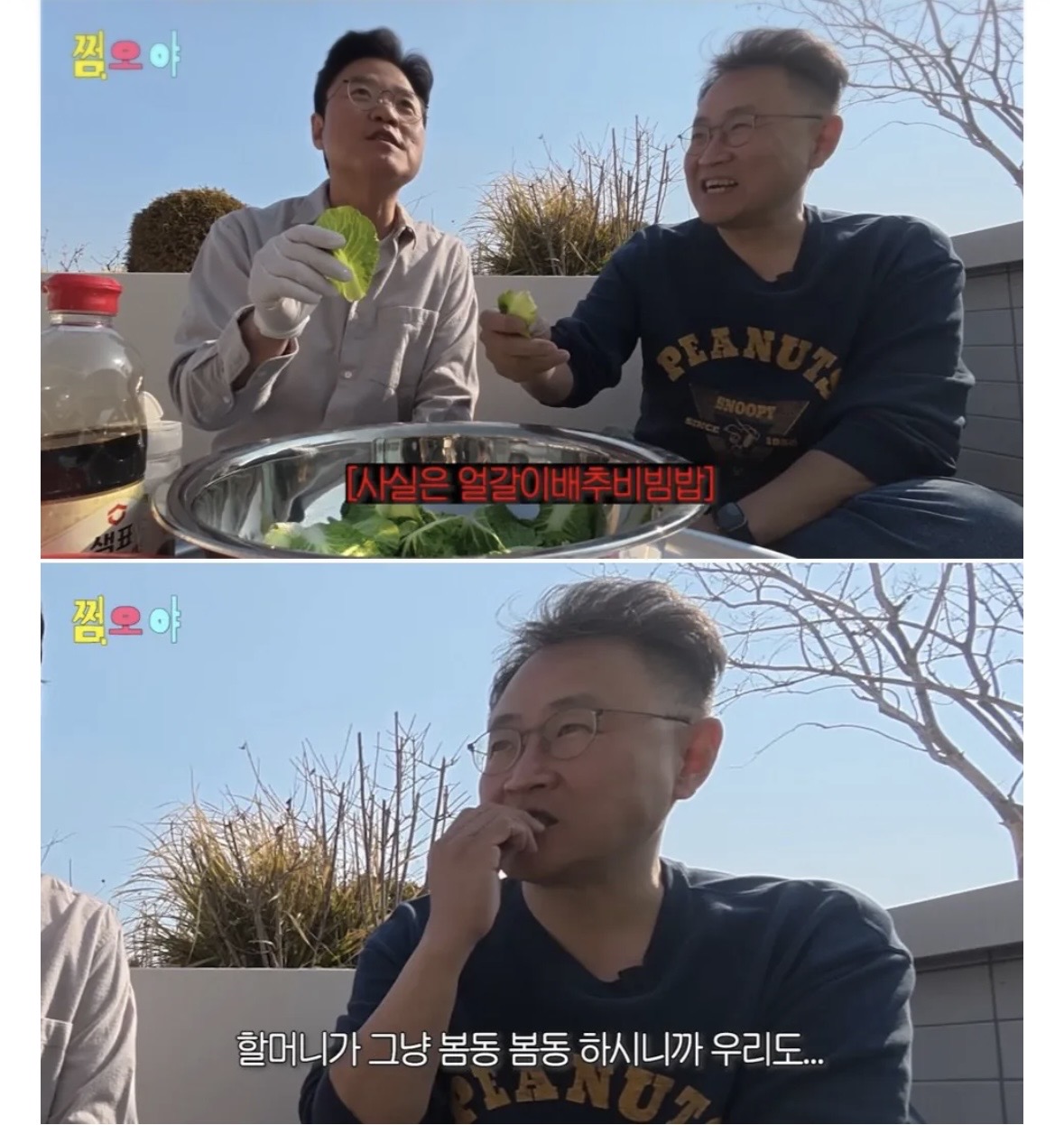[잡담] 헐 강호동 봄동비빔밥의 진실 | 인스티즈