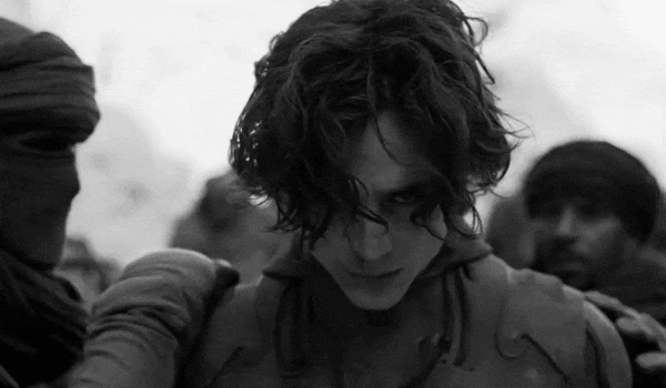 [잡담] 듄의 티모시는 진짜 아름답긴 해... | 인스티즈