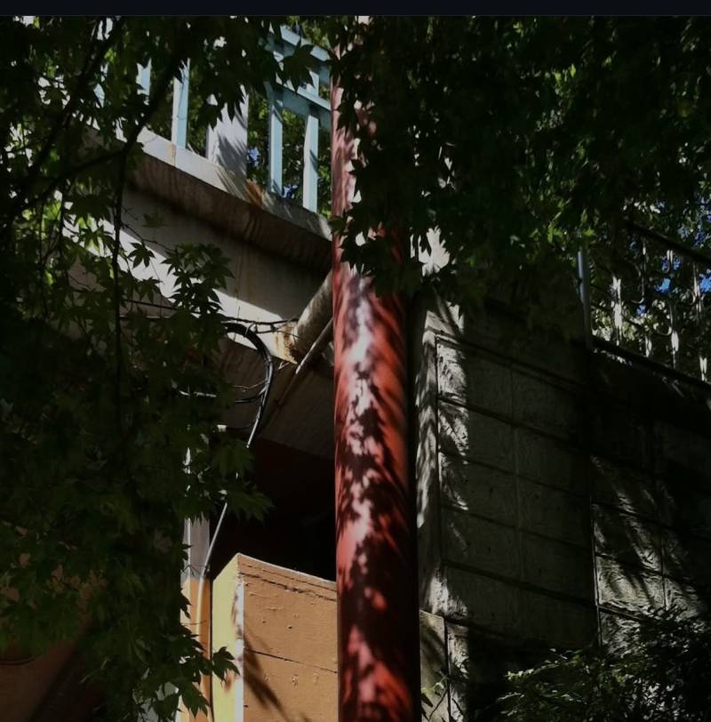 [잡담] 사진용 아이폰으로 4도 진짜 좋음 (1년째 쓰는중) | 인스티즈