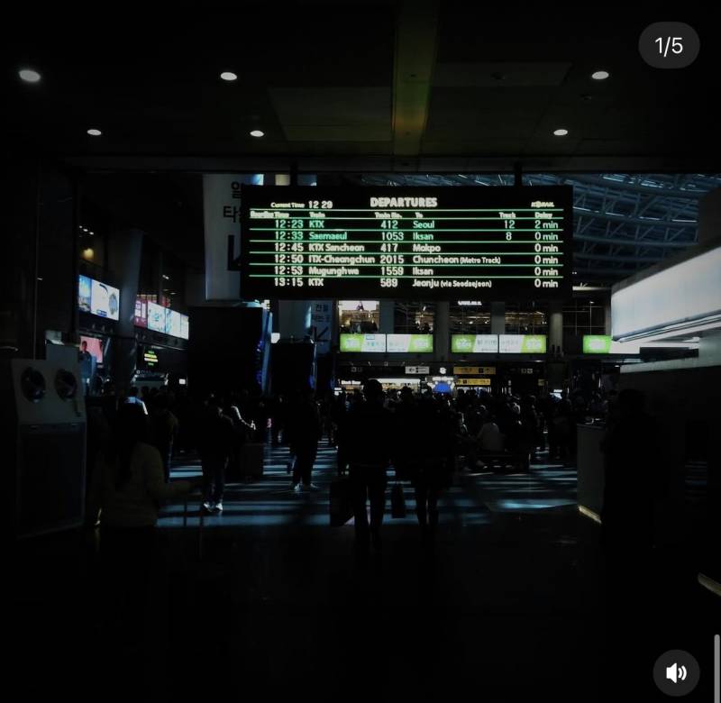 [잡담] 사진용 아이폰으로 4도 진짜 좋음 (1년째 쓰는중) | 인스티즈