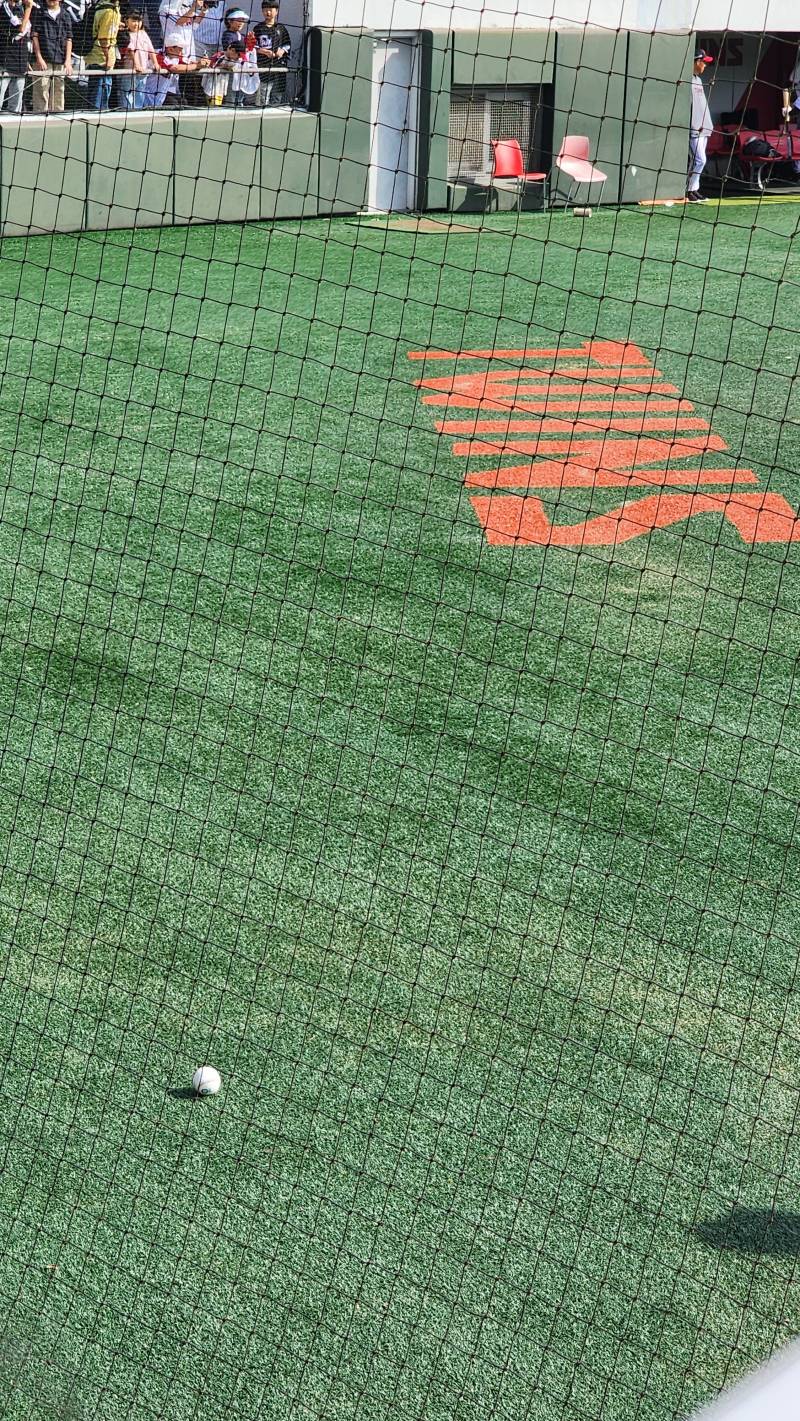 오렌지🍊 | 인스티즈