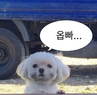 [잡담] 나 성찬 자만추하면.. | 인스티즈