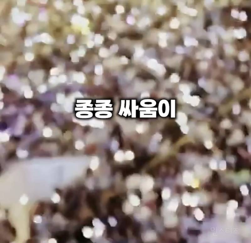 오스카에서 화제된 케이팝 응원봉 유행의 시초.JPG | 인스티즈