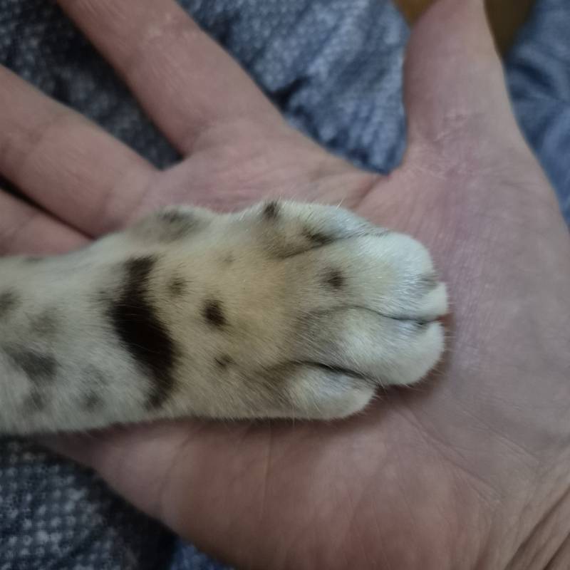 [잡담] 누구 손 이게❤️ | 인스티즈