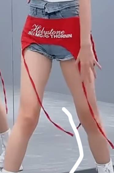 [잡담] 이거 옷 종류를 뭐라고 불러??ㅠㅠ 아무리찾아도 안나옴 | 인스티즈