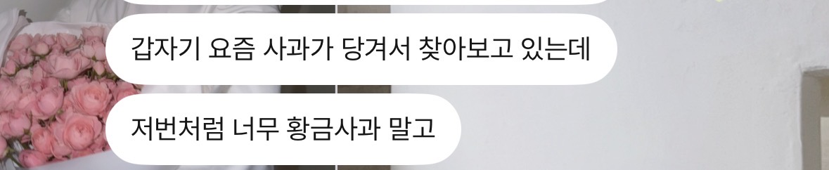 [잡담] 성한빈 플챗온거 | 인스티즈