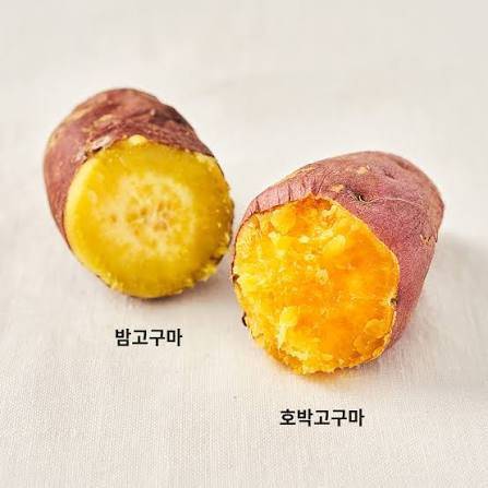 밤 고구마 VS 호박 고구마 | 인스티즈