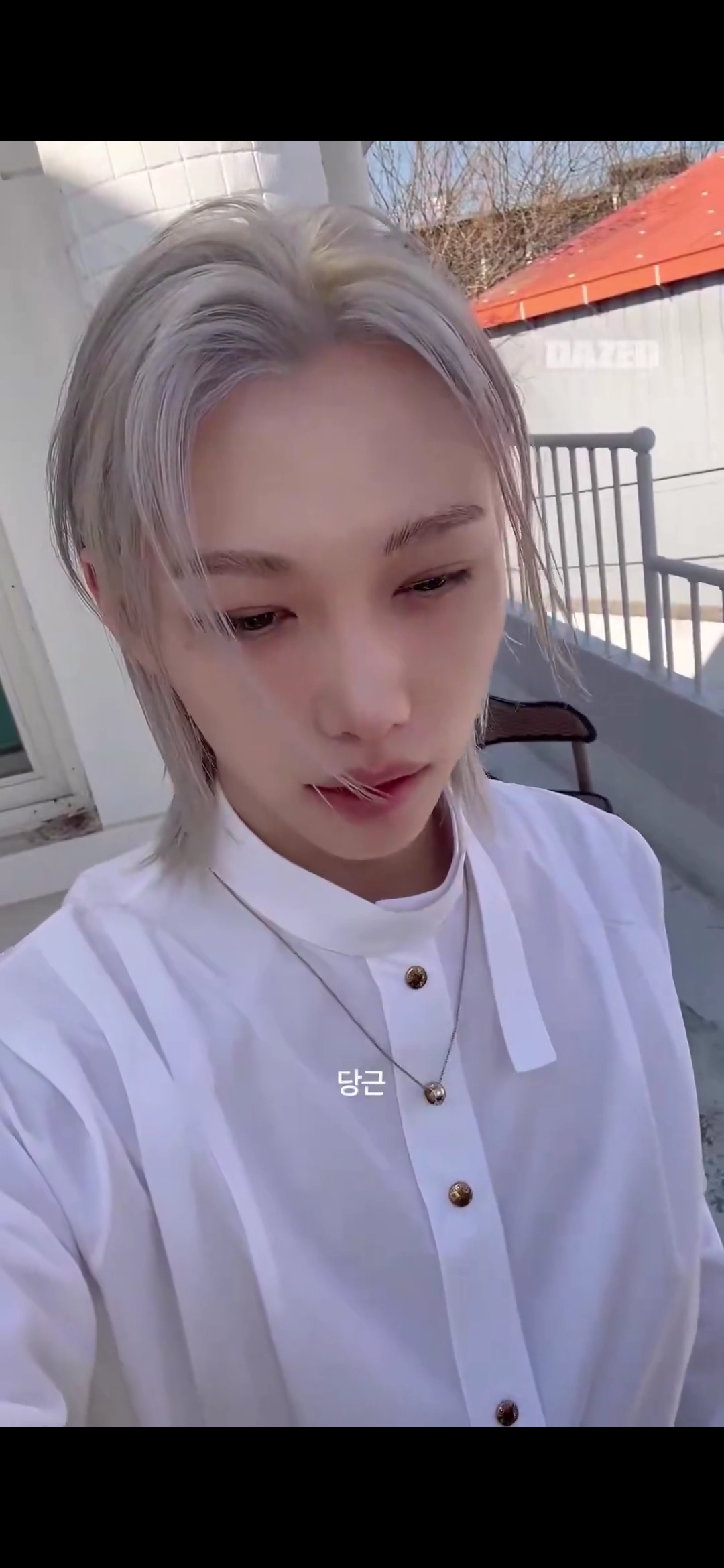[잡담] 필릭스가 당근이 좋다는데 | 인스티즈