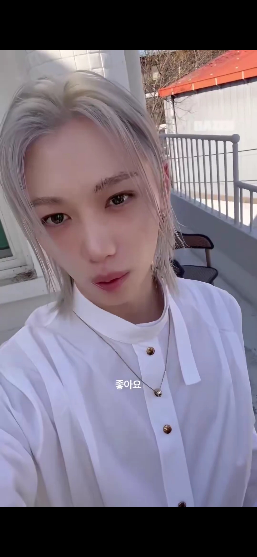 [잡담] 필릭스가 당근이 좋다는데 | 인스티즈